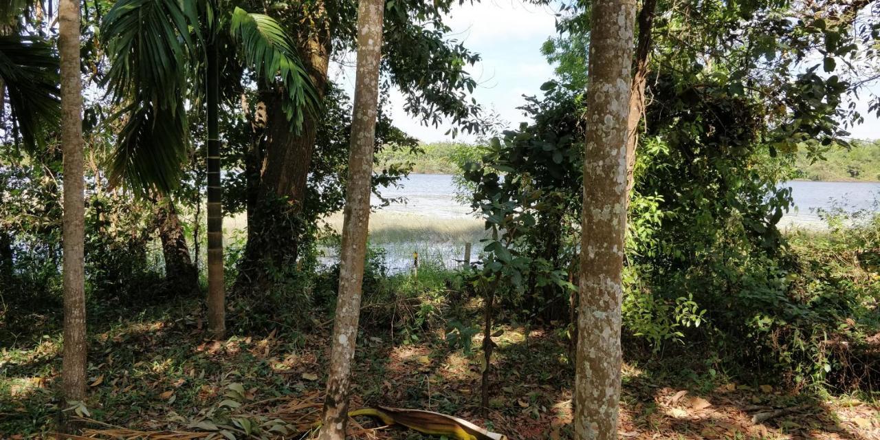 Sugamya Farm Guesthouse ซาการ์ ภายนอก รูปภาพ