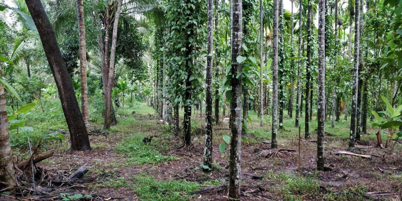 Sugamya Farm Guesthouse ซาการ์ ภายนอก รูปภาพ